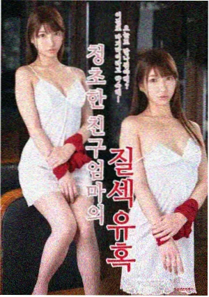 第七次搬迁 中文字幕版本封面